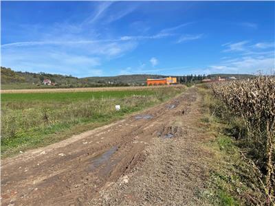 Teren extravilan in EXCLUSIVITATE 10600 mp in Bradu-Avrig