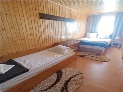 Casa de vacanta cu 7 camere piscina si 2300 mp teren Valea Avrigului