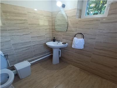 Casa de vacanta cu 7 camere piscina si 2300 mp teren Valea Avrigului