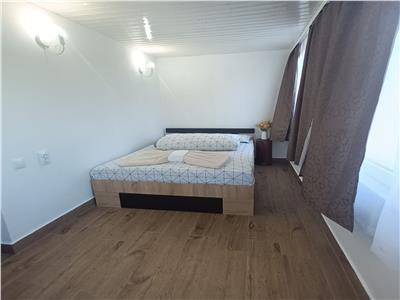 Casa de vacanta cu 7 camere piscina si 2300 mp teren Valea Avrigului