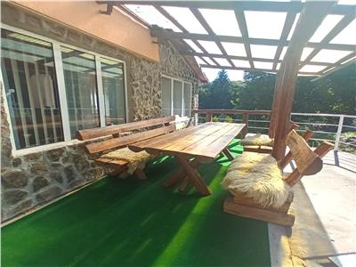 Casa de vacanta cu 7 camere piscina si 2300 mp teren Valea Avrigului